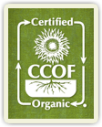 logo certyfikatu CCOF
